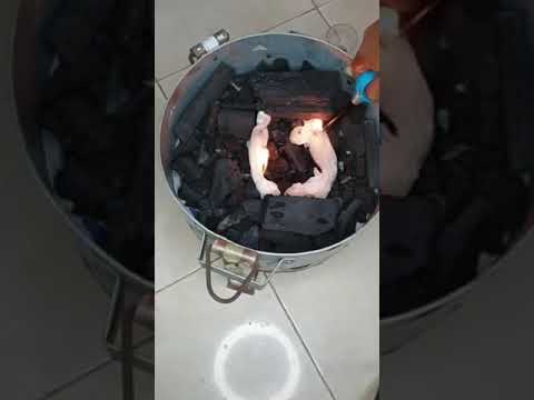 طريقة اشعال الفحم بمنديل زيت  لايك اشتراك