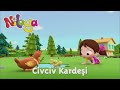 Niloya - Civciv Kardeşi