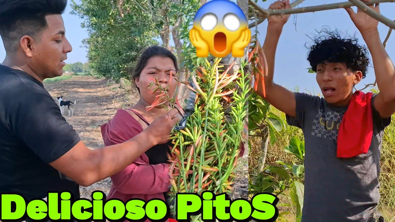 ‼️Eber Queda Sorprendido Ver Esta Fruta😱Aun Gran Paseo En Busca de Fito😋