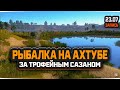 Ловля Сазана на реке Ахтуба — Русская Рыбалка 4