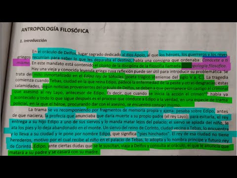 1. Introduccion -