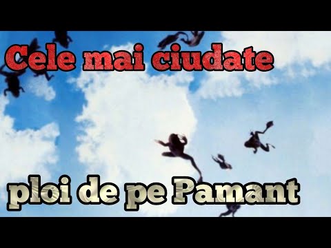 Video: Fapte Neobișnuite Despre Broaște