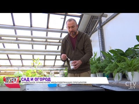 Бордосская смесь. Спасаем растения от грибных заболеваний! Иван Русских. Сад и огород
