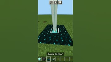 Minecraft: 1.19 Build Ideas! | #shorts