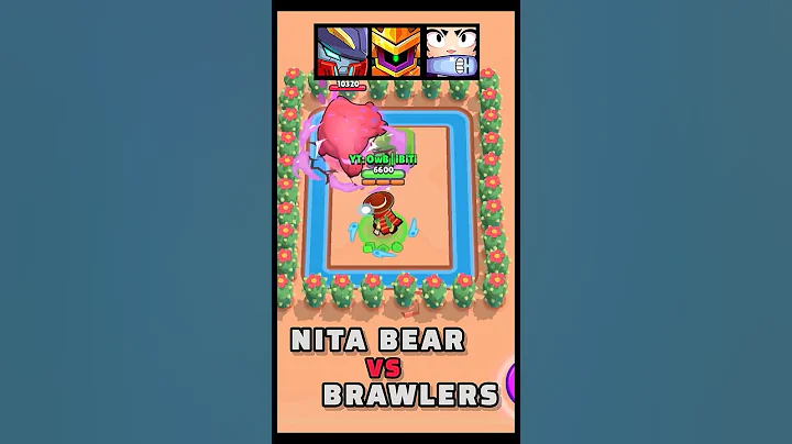 BEAR 🆚 Brawlers❗️