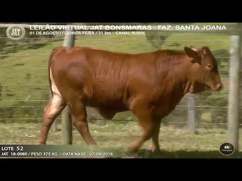LOTE 052