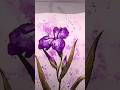 #Sketching and #painting an #iris in #watercolor in my #sketchbook #springflowers #spring #irises