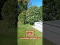 Saisonstart 2025 - www.tauben-Bahlmann.de