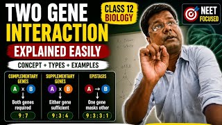 Two Gene Interaction Explained Easily | Class 12 Biology Genetics | NEET &amp; CBSE