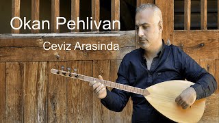 Okan Pehlivan  / Ceviz Arasında ( © 2021 Okan Pehlivan Production ) Resimi