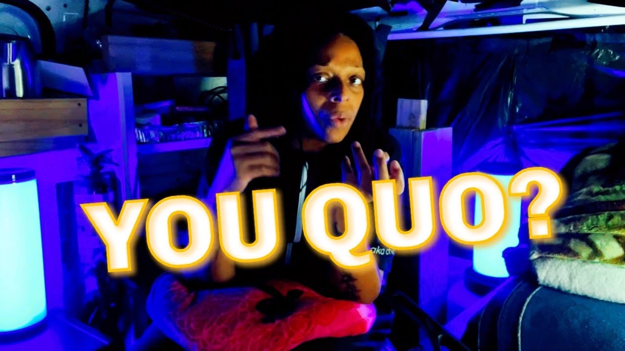 STATUS QUO -  What You're Proposing (Top of the Pops 9th October 1980 Live) REACTION