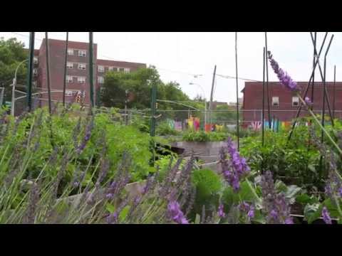 Craigslist Brownsville: Apartments, Jobs, & More