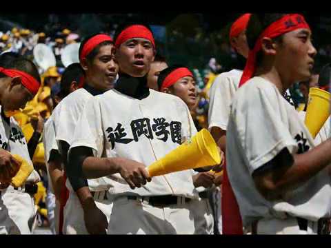 甲子園への道　2010年