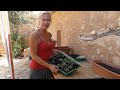 121. Sowing winter veg - Off grid self sufficiency