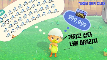 모동숲 공략