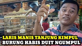 KIOS KANG MUS!!! UPDATE HARGA BURUNG KENARI TERBARU HARI INI DI PASAR BURUNG PRAMUKA KIOS KANG MUS