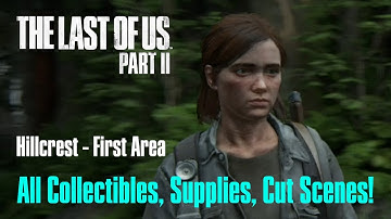 Hillcrest, The Last of Us Part 2 Survivor Complete Gameplay Walkthrough Guide