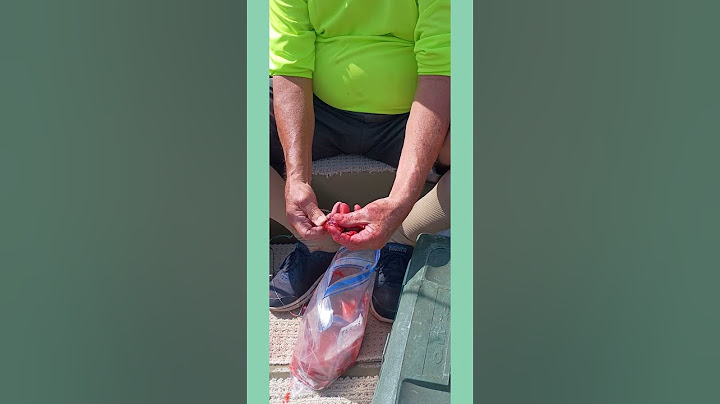 Using Homemade Catfish Bait on Pool Noodle Jug Lines - Father and Daughter Fishing