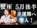 かに座♋️5月後半｜幸運期へ突入！最高の運気が来ています！✨
