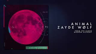 ZAYDE WOLF - ANIMAL (Official Audio) chords