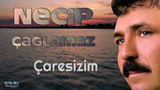 Necip Çağlamaz - Çaresizim Resimi