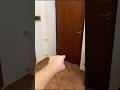 Mai chiuderti in un bunker abbandonato da solo di notte...? #shorts #horror #bunker #paura #short