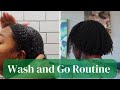 My Quick and Easy One Hour Wash and Go Routine using Only TWO Products — Lasts A WHOLE Week