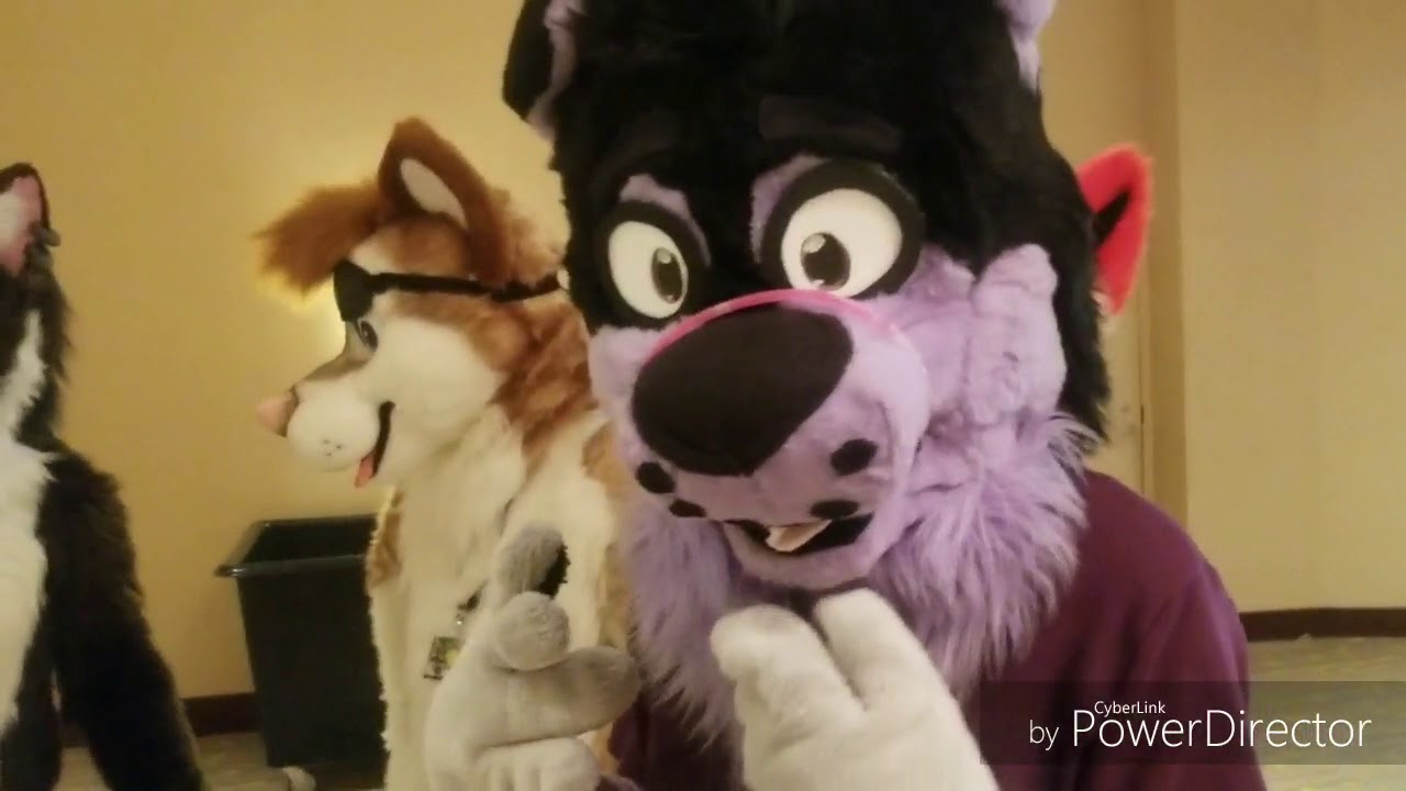 Furry Convention Dallas Texas YouTube