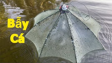 Làm mồi đặt lồng bát quái bắt cá và cái kết !