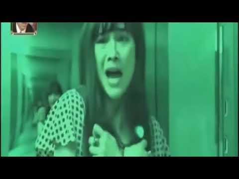 Японский-пранк-japanese-lion-prank-2017