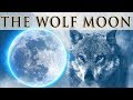 Wolf Moon explained |  Super Blood Wolf Moon - Legends &amp; Folklore #1 | Myth Stories