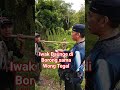 Iwak Baung Di Borong Sama Wong Tegal