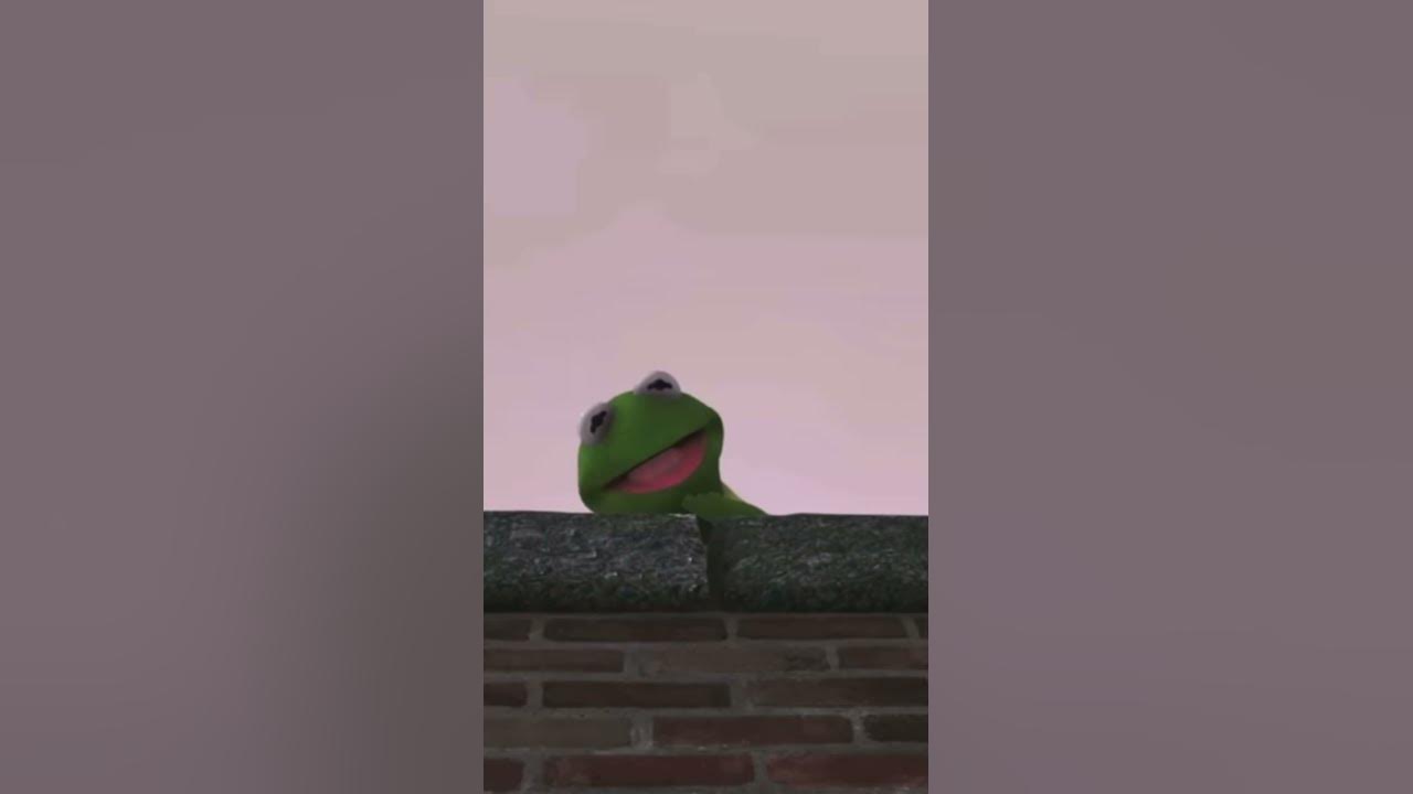 Why Did Kermit Fall From The Roof Why did Kermit fall off the roof - YouTube