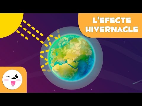 Vídeo: La desforestació augmenta els gasos d'efecte hivernacle?