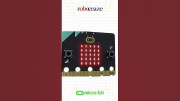 What is micro:bit and why is everyone talking about it?