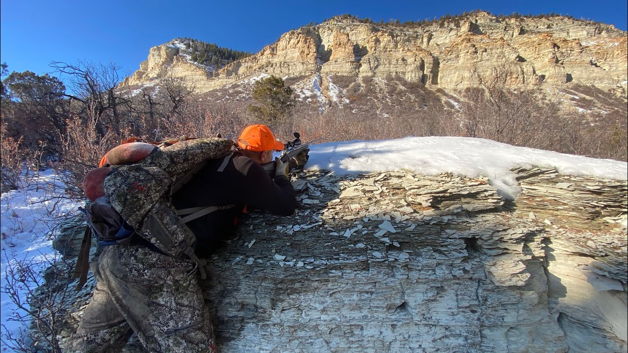 Colorado 2020 Late Rifle Cow Elk Hunt Double DIY Public Land colorado-2020-late-rifle-cow-elk-hunt-double-diy-public-land