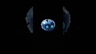 now this is the time of blueberry