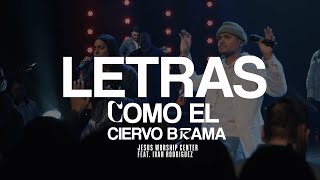 [Letras Oficial] Como el Ciervo Brama | Jesus Worship Center Feat. Ivan Rodriguez by Jesus Worship Center  19,166 views 11 months ago 6 minutes, 46 seconds