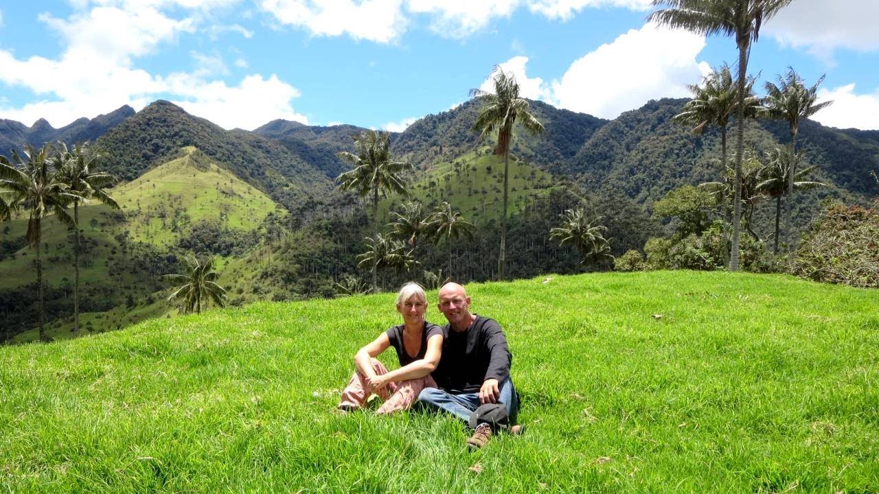 Huge wax palm trees and small coffee beans