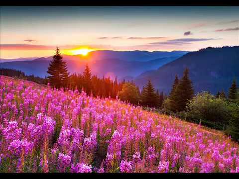 Teresa Teng  Ame no bojō 雨の慕情