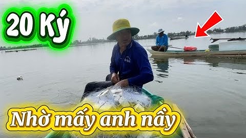 Thật khủng khiếp trúng bầy cá lớn, gỡ mõi tay là có thật. ĐCMT