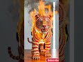 🔥 Matchstick Tiger Goes Up in Flames! (Satisfying Burn)