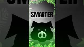 A Pig’s Perspective #pigs #animalintelligence #smartanimals #funfacts #infostudio #facts