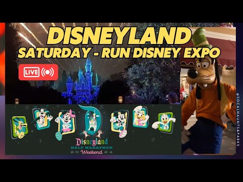 Saturday Run Disney Expo LIVE Disneyland Mickeys Mix Fireworks Magic Key Haunted Mansion Holiday