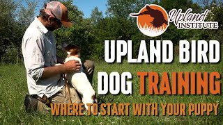 Upland Bird Dog Training - Where to start with a puppy? by The Hunting Dog Podcast 376 views 2 months ago 1 minute, 44 seconds