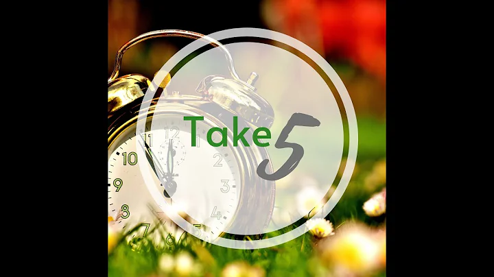 Take Five: Suzanne Lynn Cheesman, Owner - Triangle...