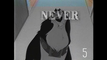 never [Animash MEP - OPEN]