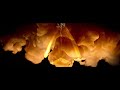 The Doobie Brothers - Learn To Let Go (Official Visualizer)