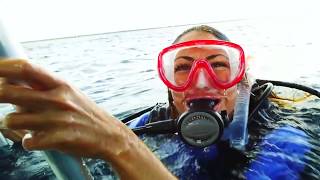 PADI ReActivate Courses Auckland