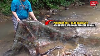 Ngeri Pria Ini Temukan Kulit Ular Rakasasa Sebesar Pohon Beringin Dikali Angke